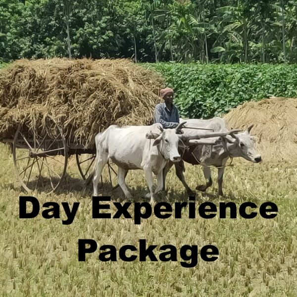 Village Day Experience Package